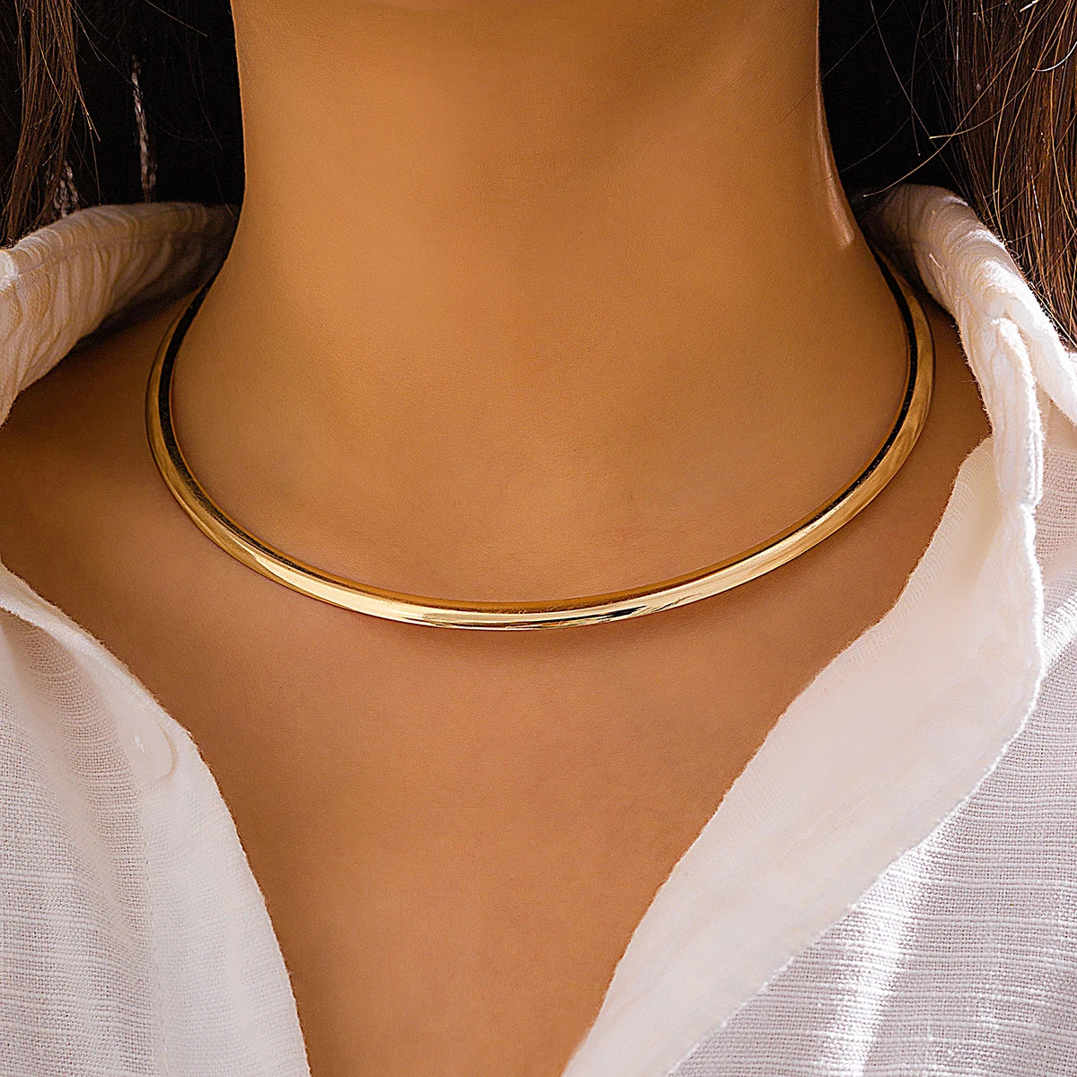 Torques Choker Necklace